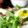 salade-potager7
