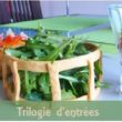 trio-entree-vue-ensemble1