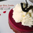 marquise-gelifie-cerise-chantilly-vanille3