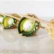 roule-courgette-chevre