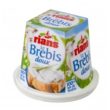 brebis-doux