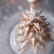 sapin-croquer7