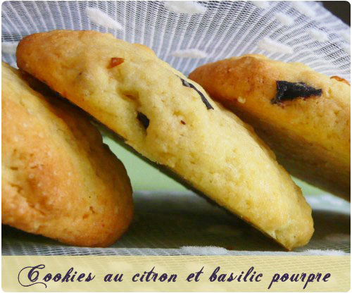 cookie-citron-basilic