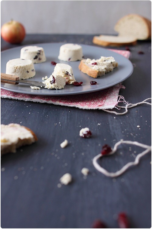 fromage-frais-cranberries5
