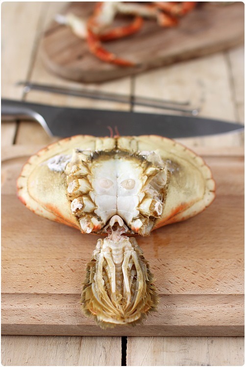 decortiquer-crabe8