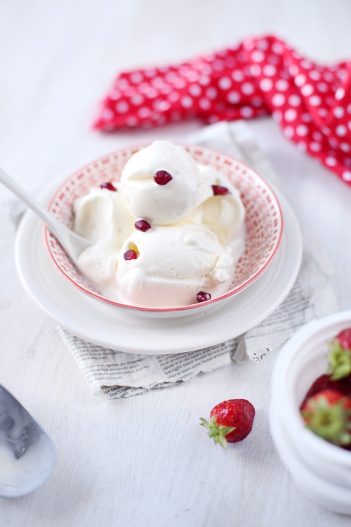 glace-yaourt-grec4
